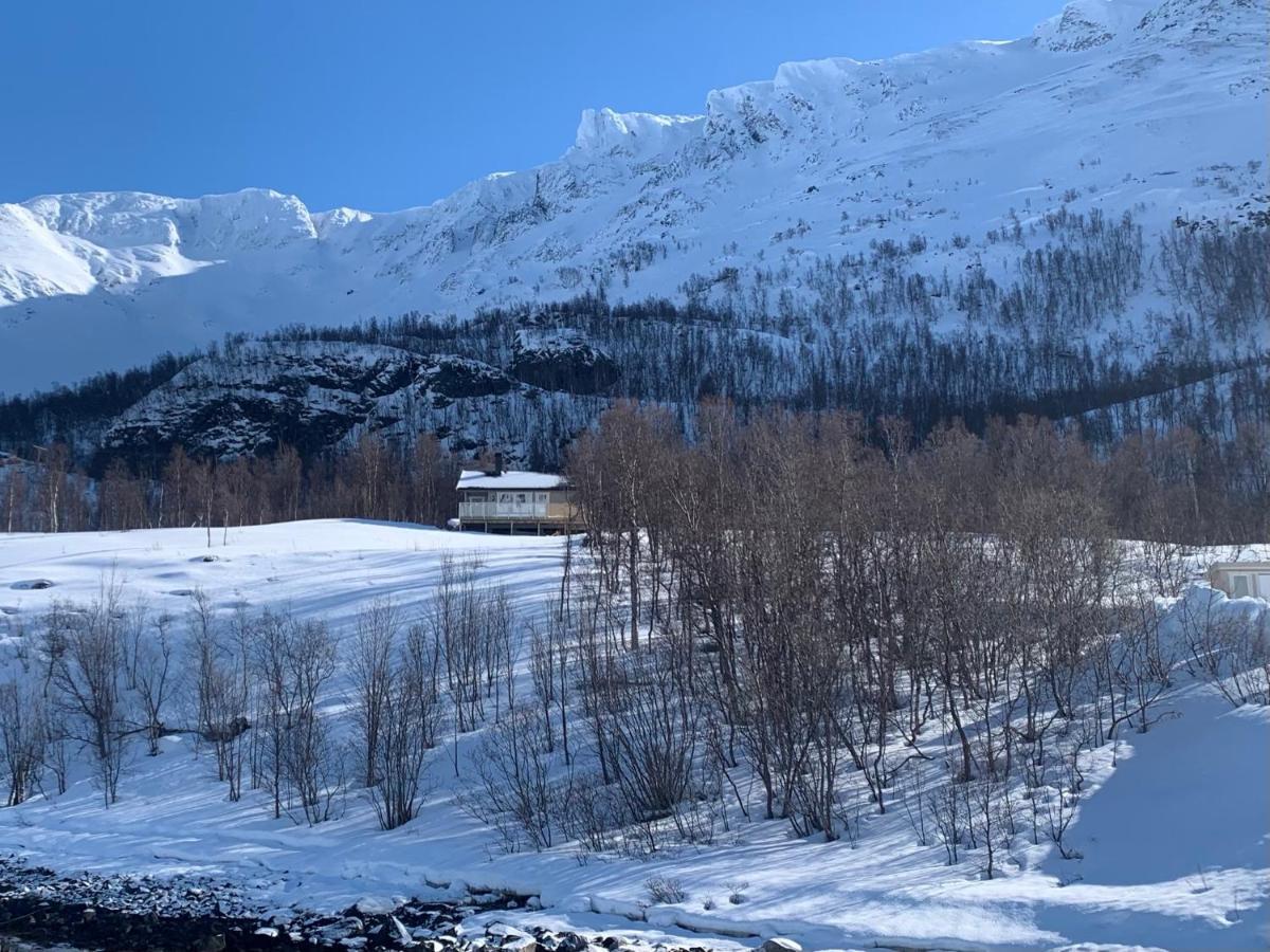 Cabin In Jokelfjord Βίλα Εξωτερικό φωτογραφία